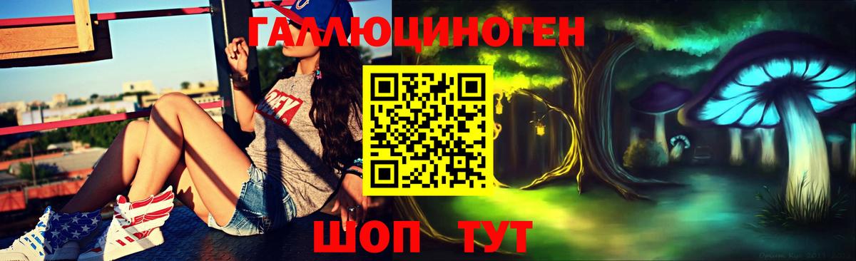 Псилоцибиновые грибы MAGIC MUSHROOMS  Псилоцибиновые грибы мухоморы  Вход с VPN  купить  цена  Богданович 