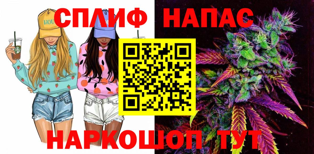 Бошки Шишки сатива Богданович