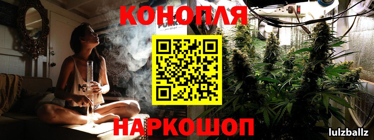 Шишки марихуана план  Марихуана тримм  Богданович  Бошки Шишки Amnesia  Вход с VPN 